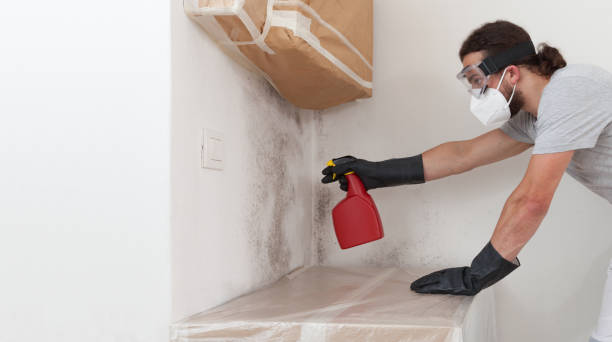 Professional Bathroom Mold Removal technician working in Commerce City, CO